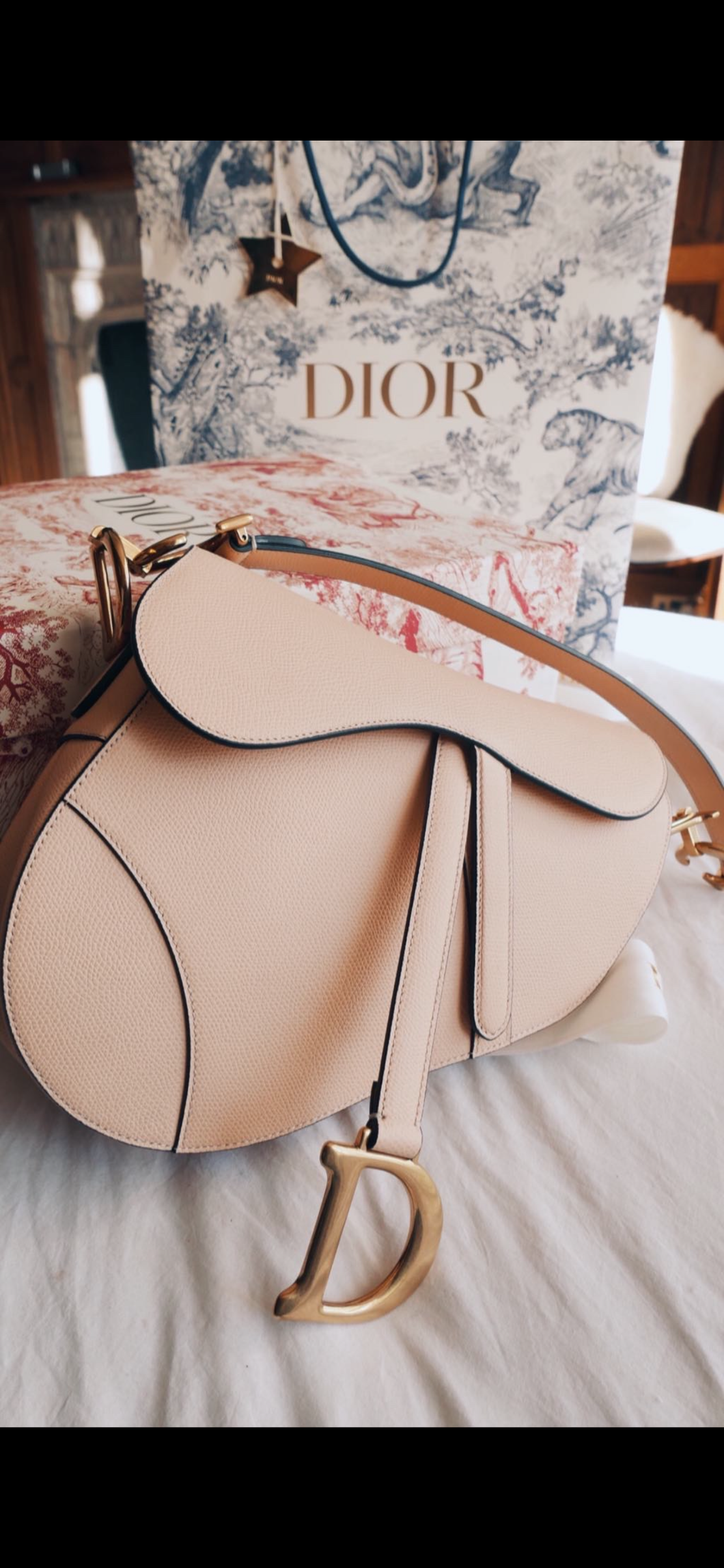Nude dior 2025 saddle bag